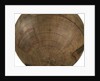 Terrestrial table globe by unknown