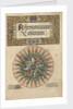 Frontispiece of 'Astronomicum Caesareum', 1540 by unknown