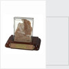 Meat sample from Sir John Franklin's last expedition 1845-1848 by unknown