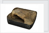 Tinned pemmican by unknown