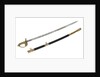 Solid half-basket hilted sword, which belonged to Vice-Admiral McClure (1807-1873) by Gillott & Hasell