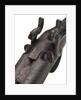 Pair of shotguns taken on the Franklin expedition, 1845-47 by unknown