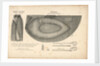The boat-cloak or cloak boat...invented by Peter Halkett, R.N. by Peter Halkett