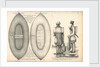 The boat-cloak or cloak boat...invented by Peter Halkett, R.N. by Peter Halkett