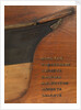 'Andreta' (1880); 'Cambermere' (1880); 'Galgate' (1880); 'M E Watson' (1880); 'Magician' (1880); 'Mooltan' (1880) by unknown