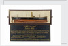 HMS 'Calliope' (1884) by unknown