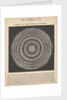 The central sun and the theory of the stellar universe by James Reynolds