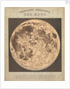 Telescopic appearance of the moon (backlit) by James Reynolds