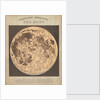 Telescopic appearance of the moon (backlit) by James Reynolds