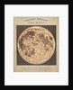 Telescopic appearance of the moon (backlit) by James Reynolds
