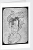 Lantern slide by York & Son
