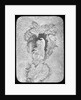 Lantern slide by York & Son