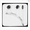 Lantern slide by York & Son
