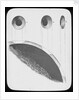 Lantern slide by York & Son