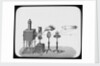 Lantern slide by York & Son