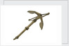 Frame stock anchor - shank hollowed out 1829 by unknown