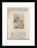 Poor Little Polly Comoro by Arthur Hale Smith-Dorrien