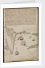 Plate from Edward Barlow's journal of his life at sea in king's ships, East & West Indiamen & other merchantmen from 1659 to 1703. by Edward Barlow
