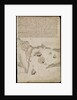Plate from Edward Barlow's journal of his life at sea in king's ships, East & West Indiamen & other merchantmen from 1659 to 1703. by Edward Barlow