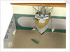 Instructional model; Waterline model by unknown