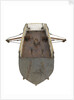 Fighting vessel by unknown