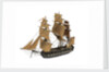 'Euryalus'; warship; 36 guns; frigate by William Haines
