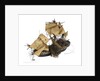 Warship; 80 guns by William Haines