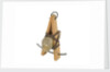 Equipment model; Anchor model; Half killick by unknown
