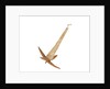 Equipment model; Anchor model; Killick by unknown