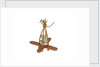 Equipment model; Anchor model; Killick by unknown