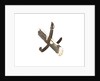 Equipment model; Anchor model; Killick by unknown