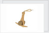 Equipment model; Anchor model; Killick by unknown