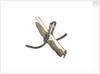 Equipment model; Anchor model; Killick by unknown