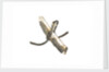 Equipment model; Anchor model; Killick by unknown