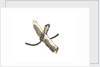 Equipment model; Anchor model; Killick by unknown