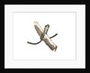 Equipment model; Anchor model; Killick by unknown