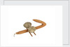 Equipment model; Anchor model; Killick by unknown