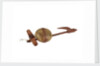 Equipment model; Anchor model; Killick by unknown