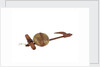 Equipment model; Anchor model; Killick by unknown