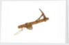 Equipment model; Anchor model; Killick by unknown