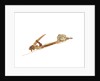 Equipment model; Anchor model; Killick by Unknown