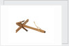 Equipment model; Anchor model; Killick by unknown