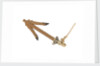 Equipment model; Anchor model; Killick by unknown