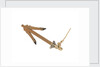 Equipment model; Anchor model; Killick by unknown
