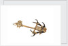 Equipment model; Anchor model; Killick by unknown