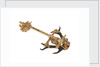 Equipment model; Anchor model; Killick by unknown