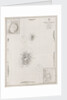 Azores Corvo and Flores. Surveyed by Capt. A.T.E Vidal R.N 1844. by British Admiralty