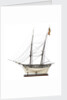 Brig Warship, 14 gun 'Joan D'Arc' (1800) by unknown