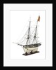 Brig Warship, 14 gun 'Joan D'Arc' (1800) by unknown