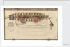 Folding model and plan of the 'Gurland' (1721) by unknown